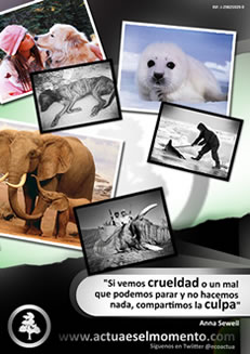 Protección Animal